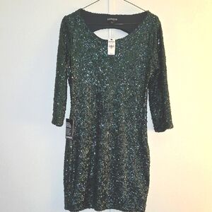 Express Green Sequin Dress